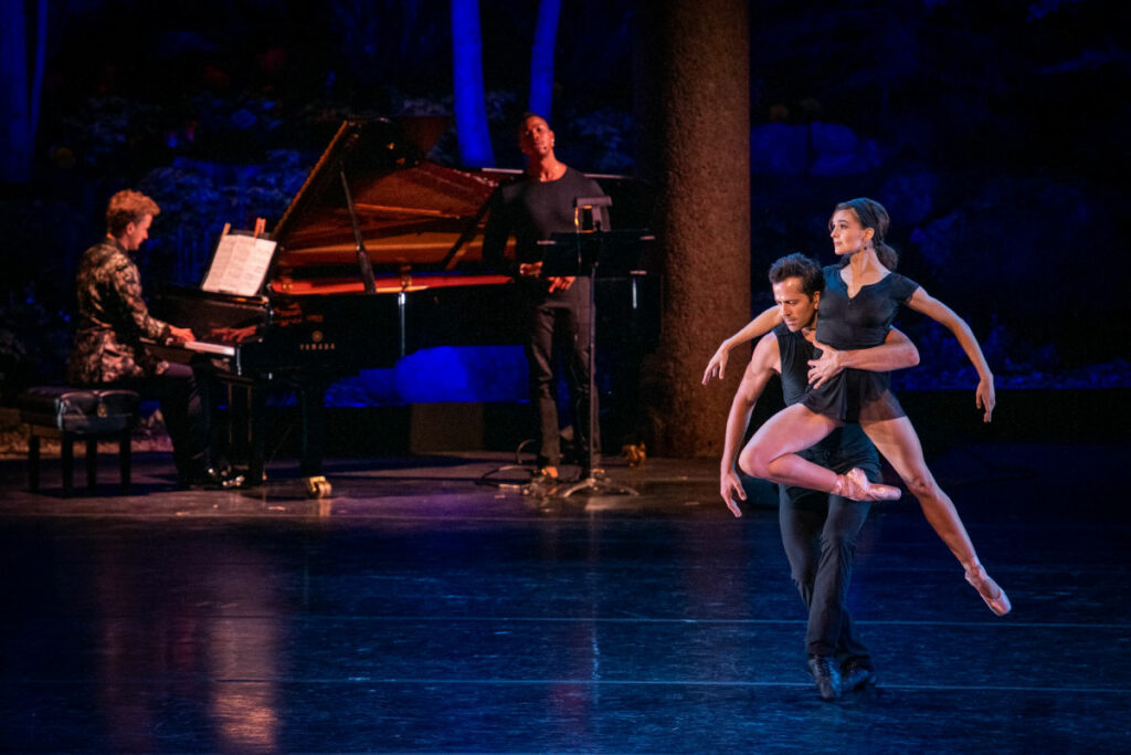 Opening Night