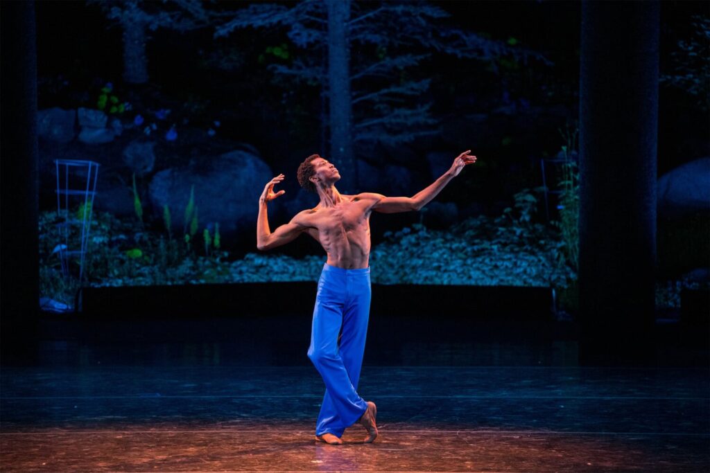 International Evenings of Dance III